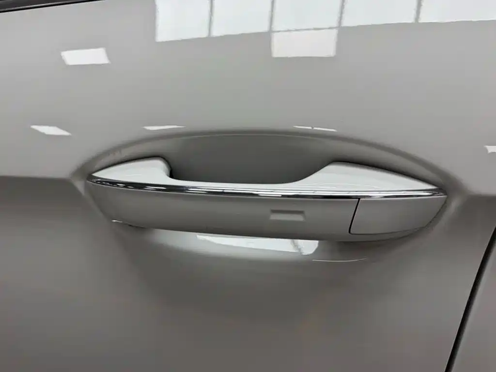 Volkswagen Lamando — миниатюра 19