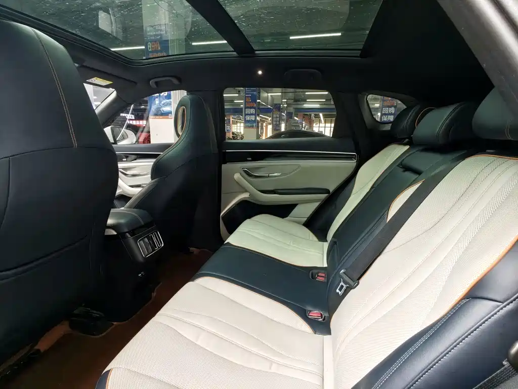 BYD PLUS New Energy — миниатюра 6