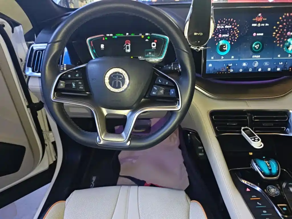 BYD PLUS New Energy — миниатюра 11