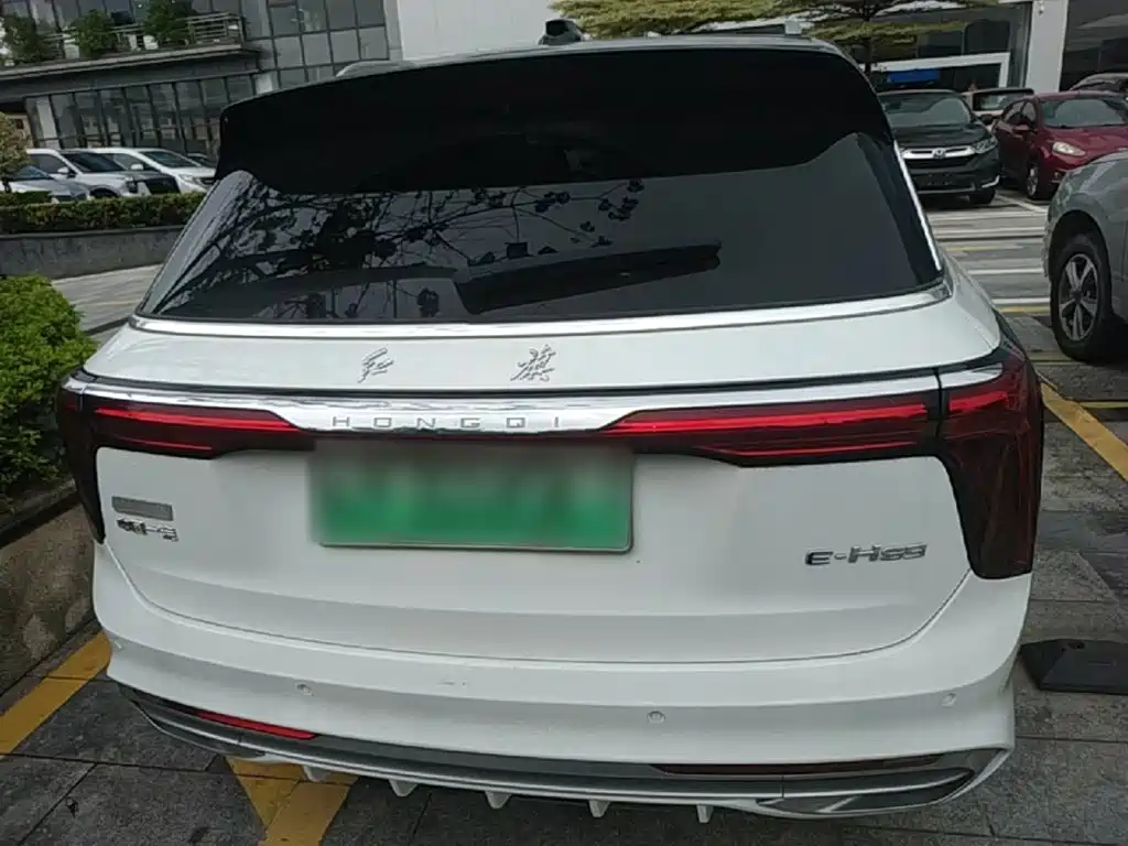 Hongqi Hongqi E-HS9 — миниатюра 6