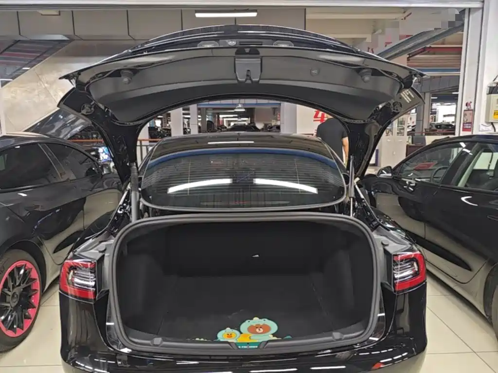 Tesla Model 3 — миниатюра 19
