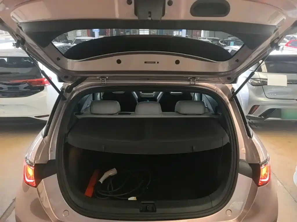 BYD Dolphin — миниатюра 19