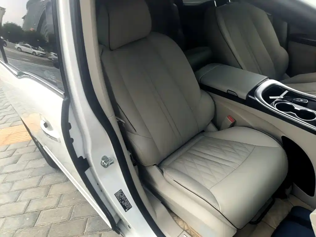 Buick GL8 — миниатюра 25