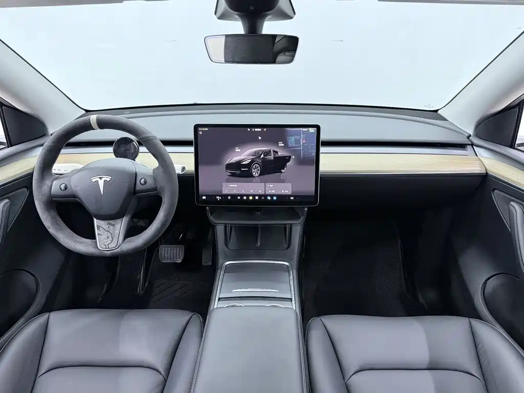 Tesla Model Y — миниатюра 7