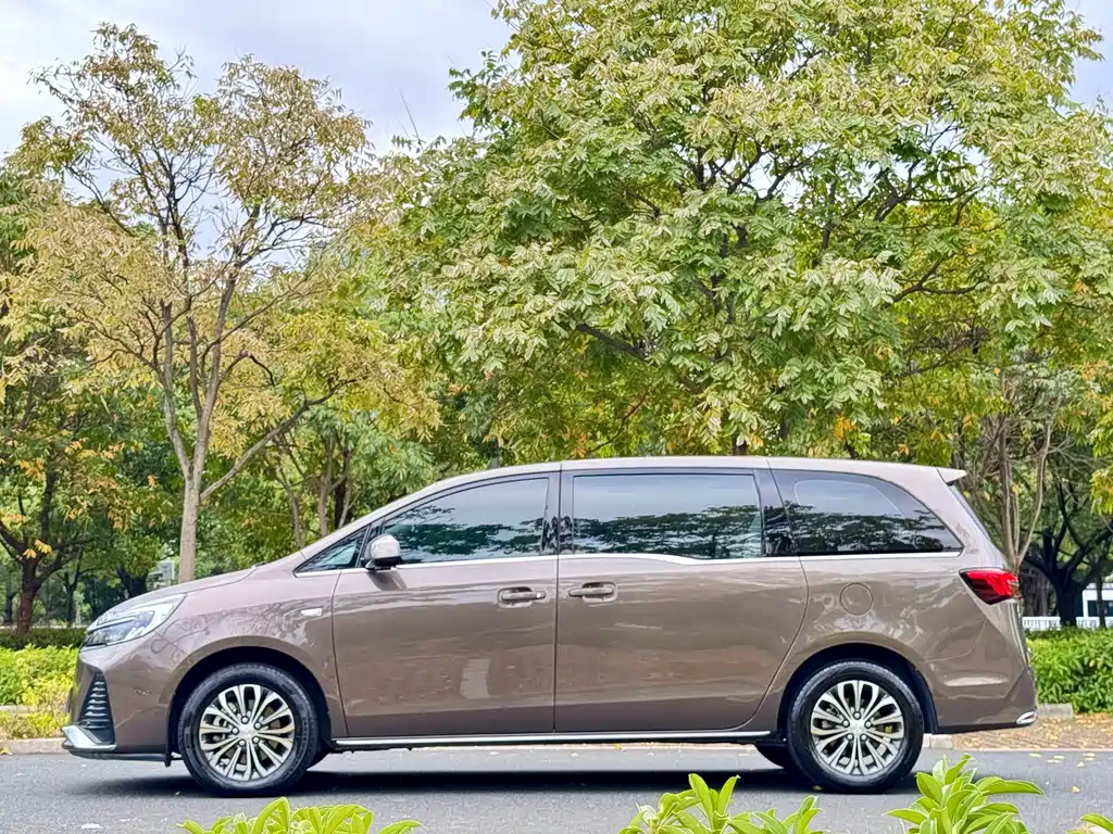Buick GL8 — миниатюра 26