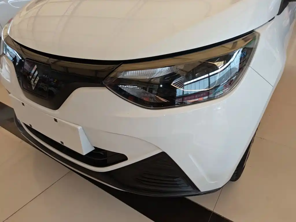 JMEV EV2 — миниатюра 24