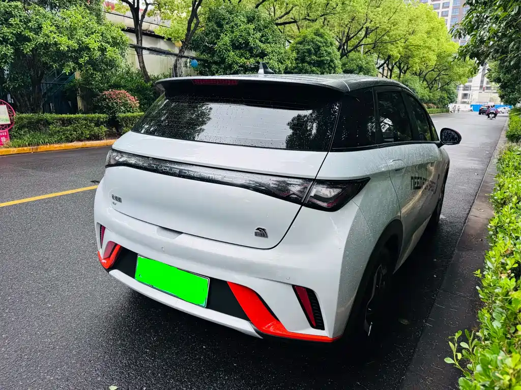 BYD Dolphin — миниатюра 14
