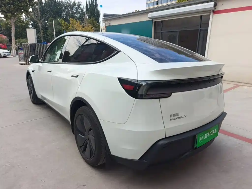 Tesla Model Y — миниатюра 5