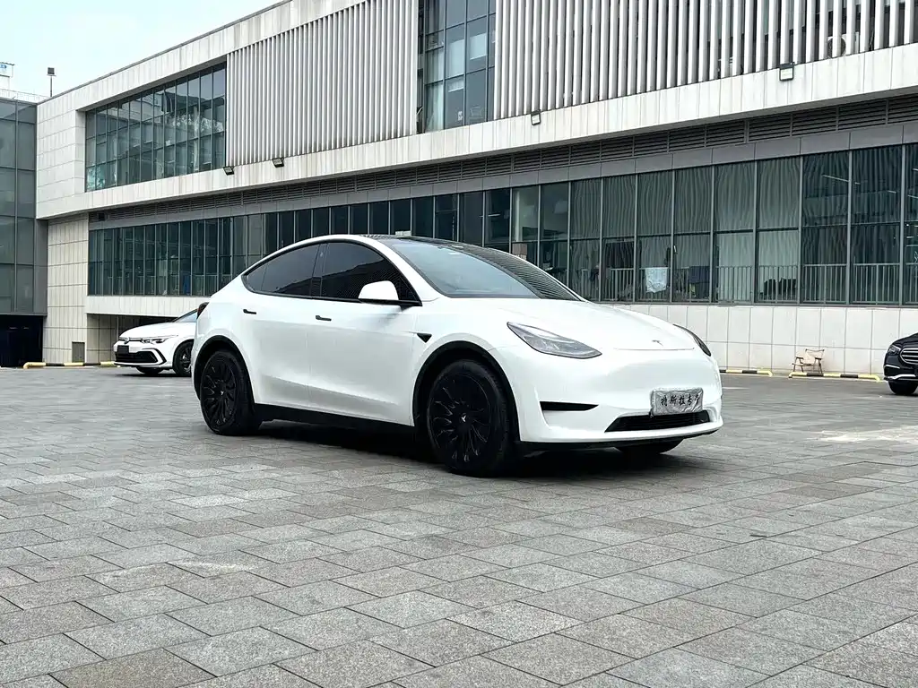 Tesla Model Y — миниатюра 3