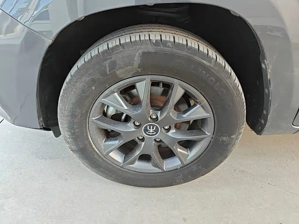 BYD Song — миниатюра 23