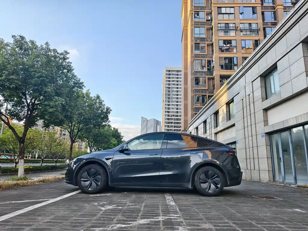 Tesla Model Y — миниатюра 4