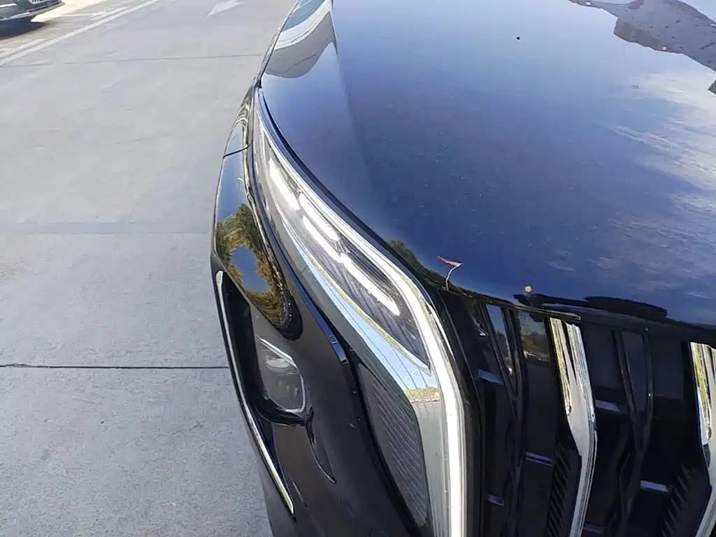 Hongqi Hongqi HS7 PHEV — миниатюра 11