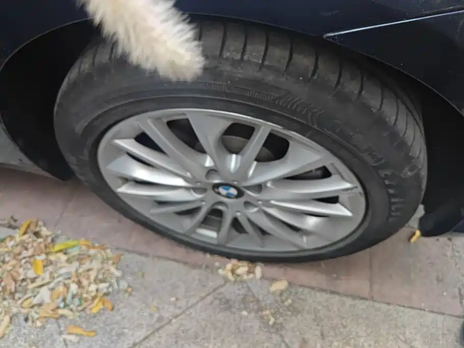BMW 2 Series Active Tourer — миниатюра 6