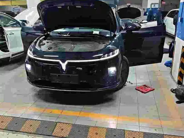 VOYAH LAN TU ZHIYIN 2024