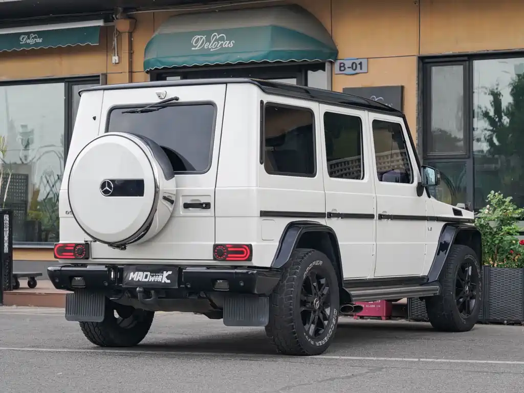 Mercedes-Benz G-Class G 2010 G 500
