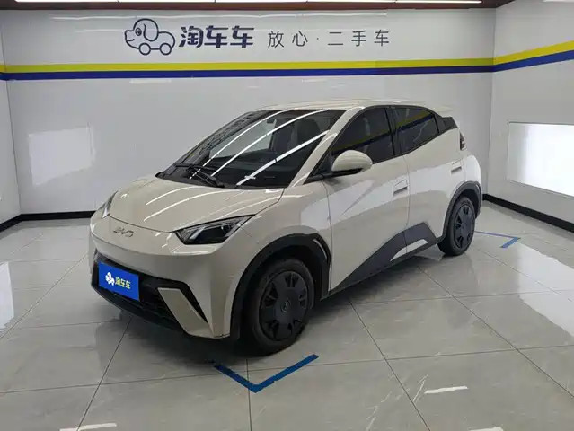 2025 BYD Seagull