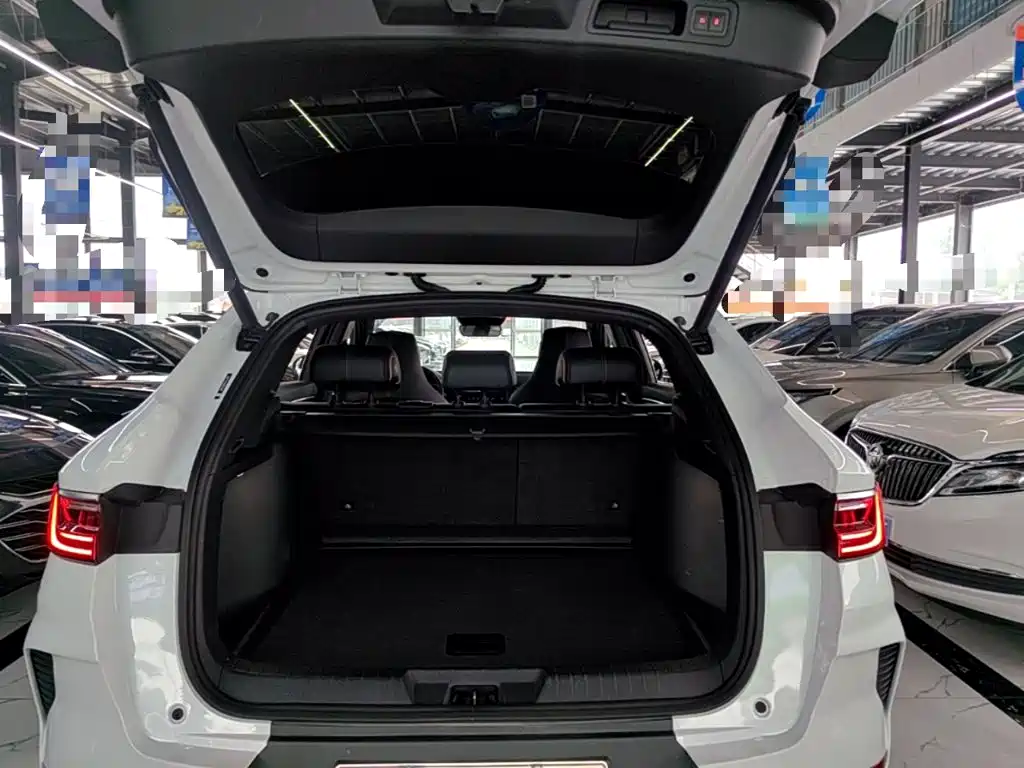 BYD PLUS New Energy — миниатюра 19