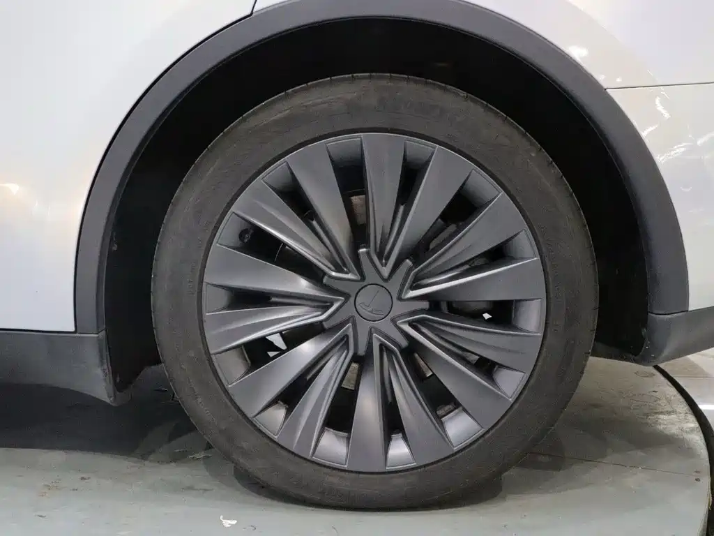 Tesla Model Y — миниатюра 21