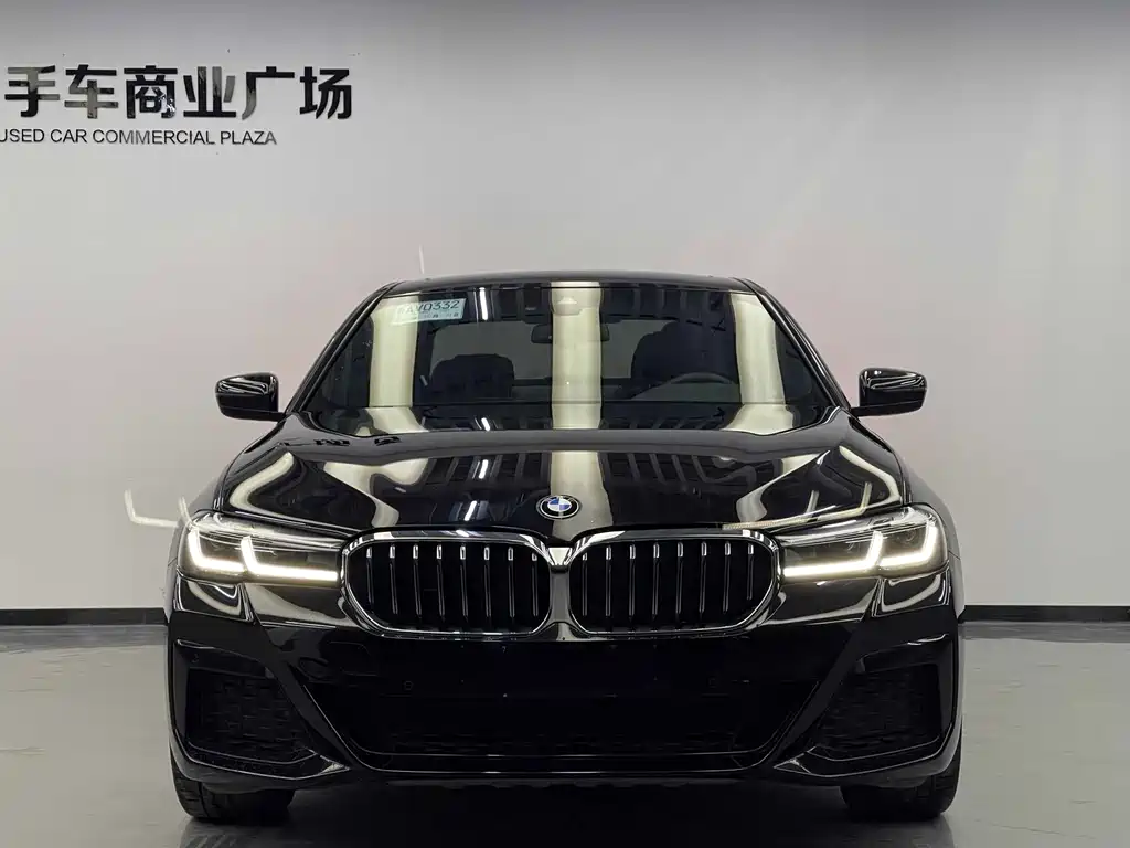 BMW 5 Series New Energy — миниатюра 2