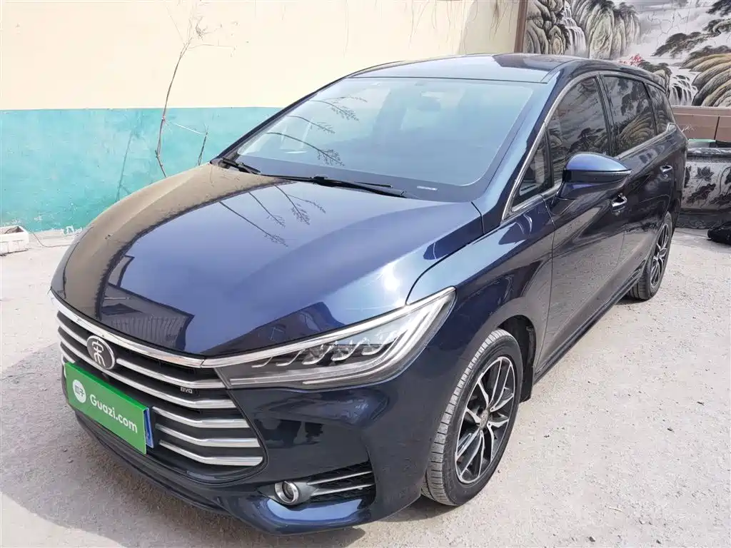 Byd MAX 2018