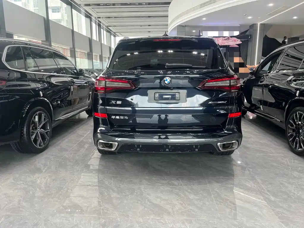 BMW X5 — миниатюра 9