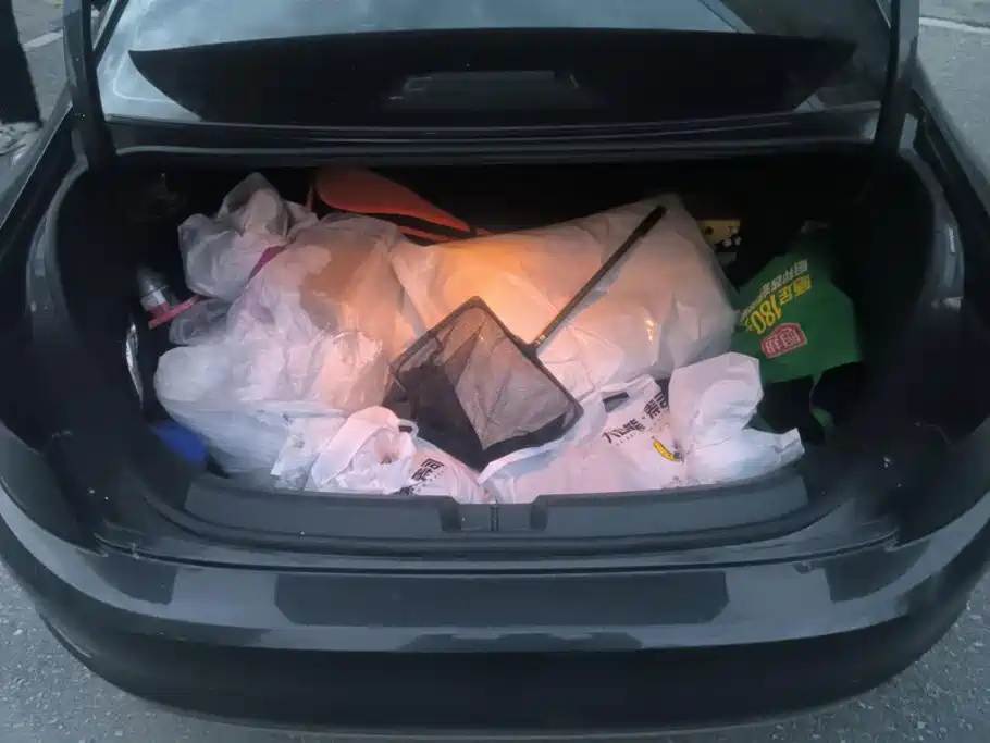 Volkswagen Sagitar — миниатюра 4