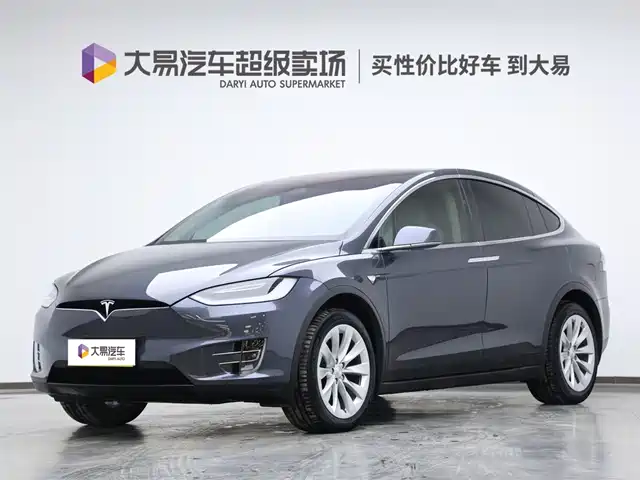 TESLA MODEL X 2019