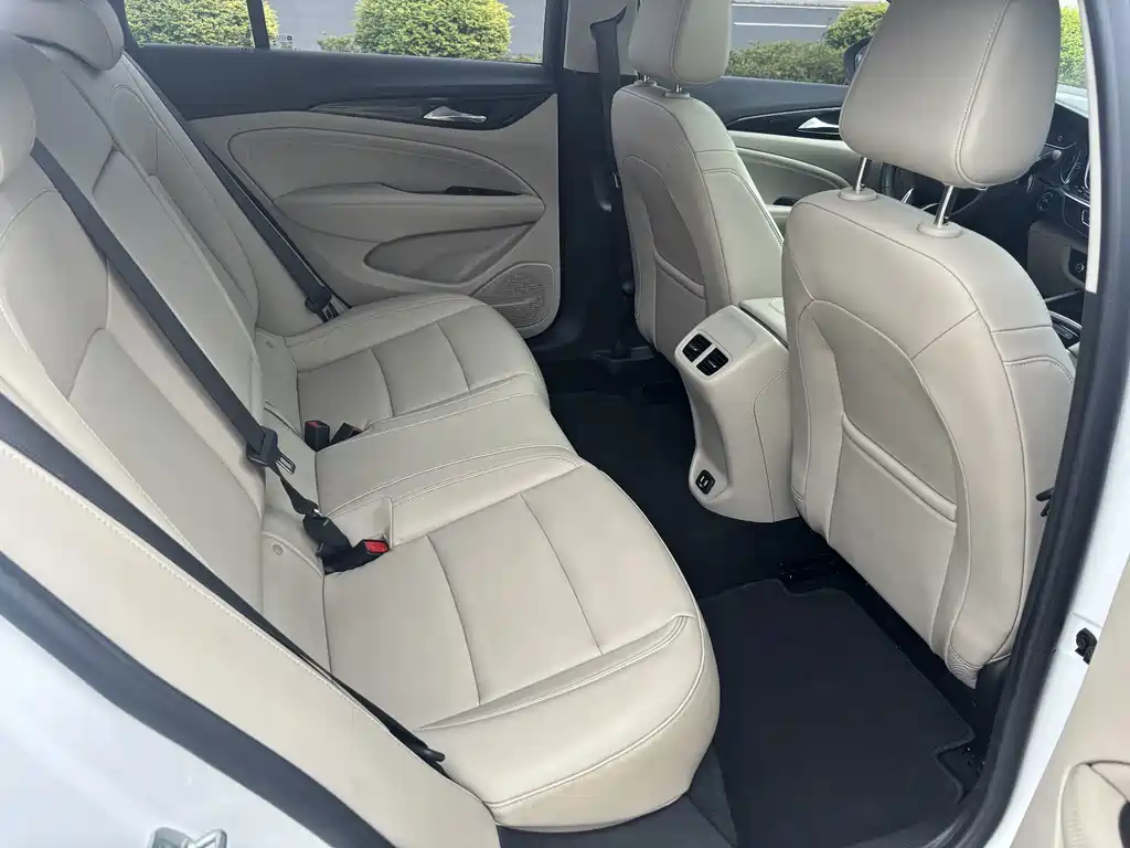 Buick Regal — миниатюра 13