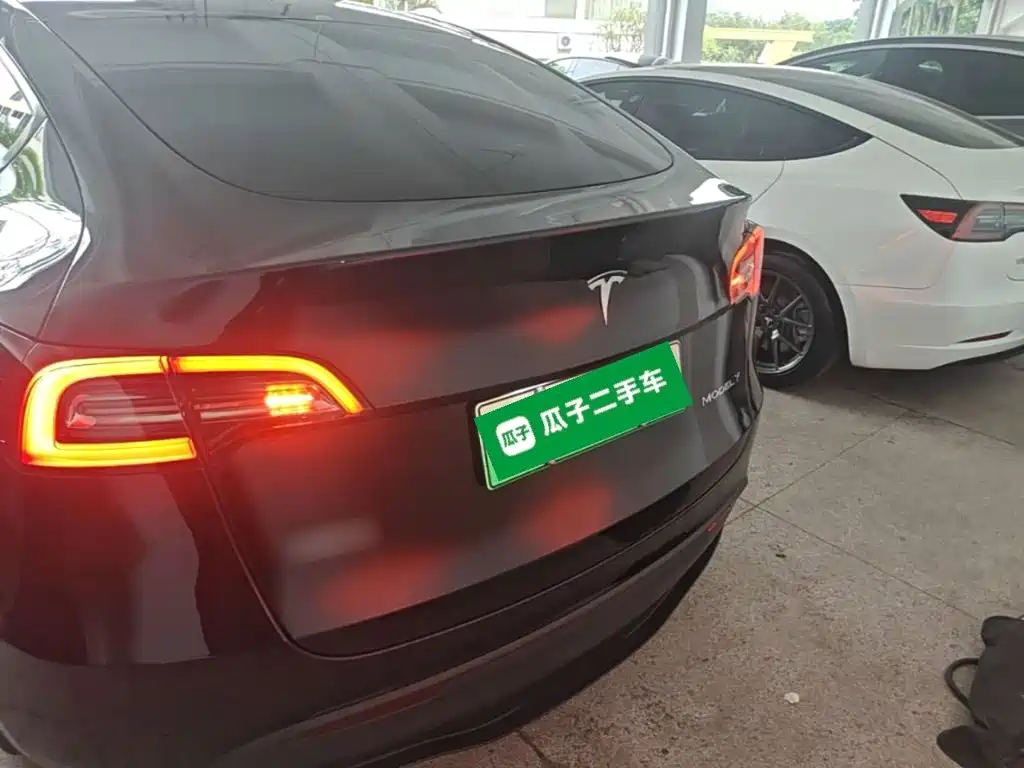 Tesla Model Y — миниатюра 6