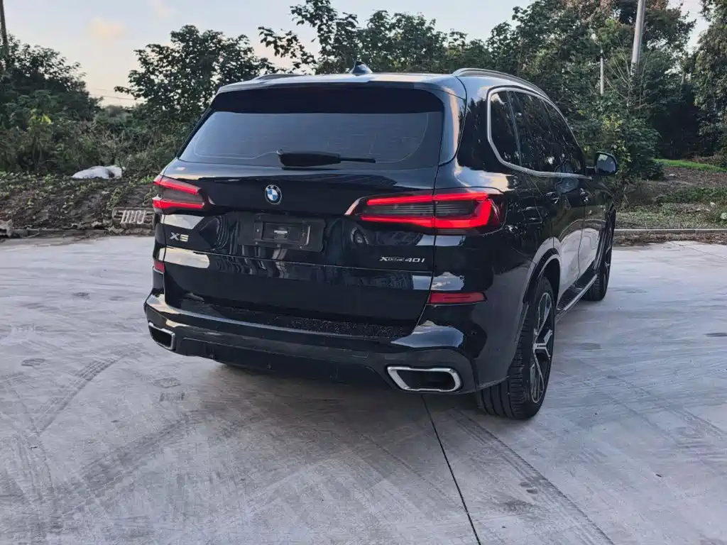 BMW X5 (Import) — миниатюра 2
