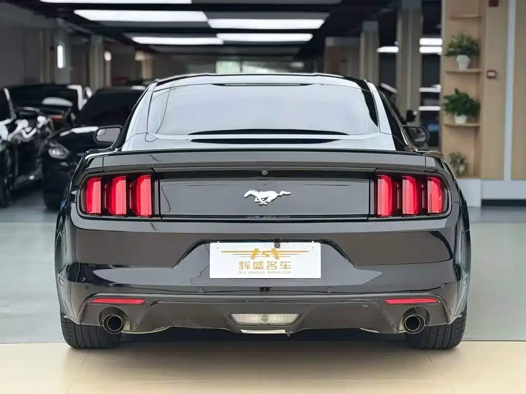 Ford Mustang 2.3T Performance Edition, фото 9