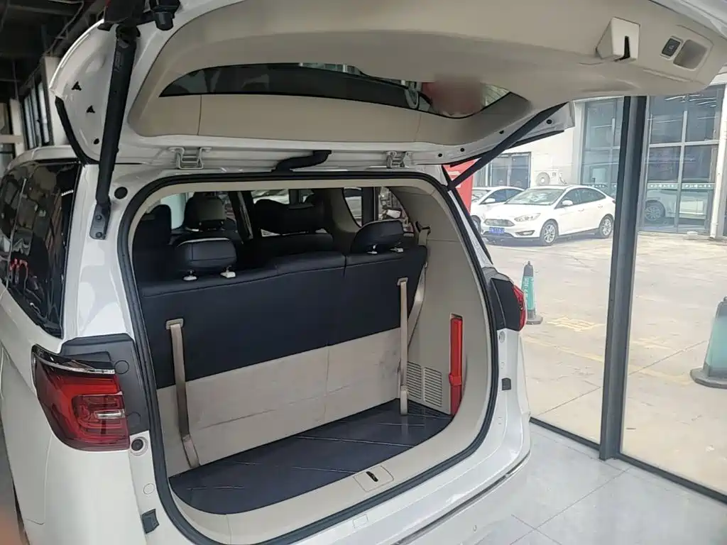 Buick GL8 — миниатюра 19