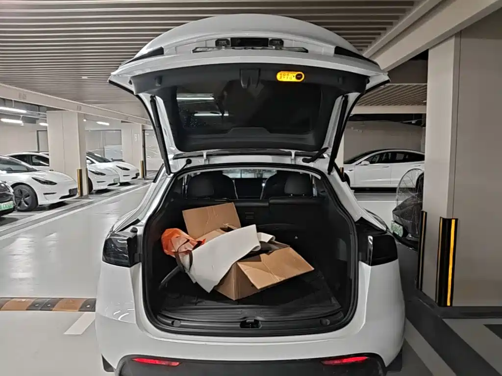 Tesla Model Y — миниатюра 19