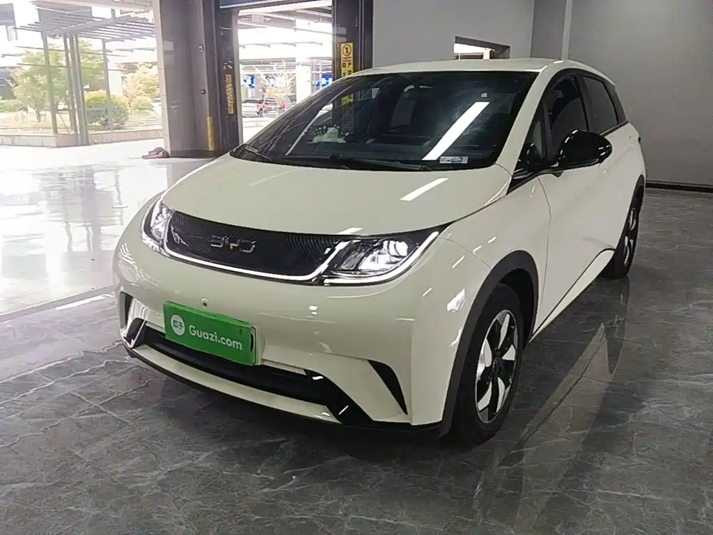 BYD Dolphin — миниатюра 2