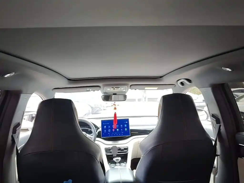 BYD PLUS New Energy — миниатюра 18