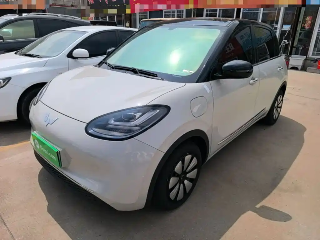 Wuling Binguo 2024 333km