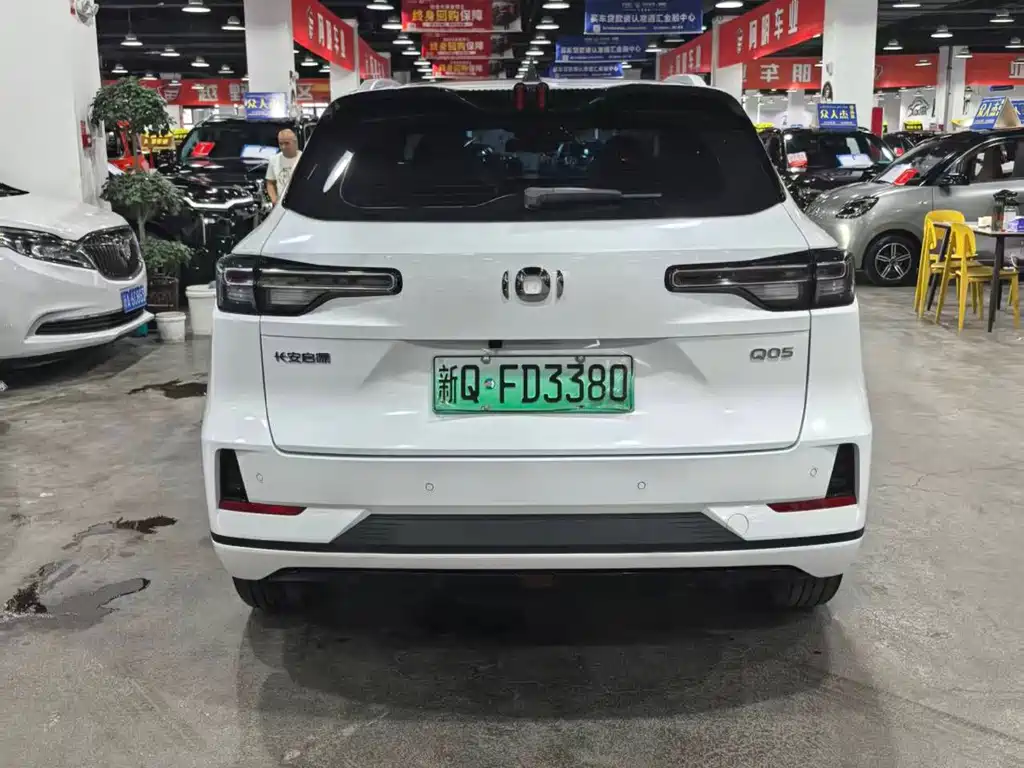 Qiyuan Чанг Ан Кай Q05 классика. — миниатюра 6