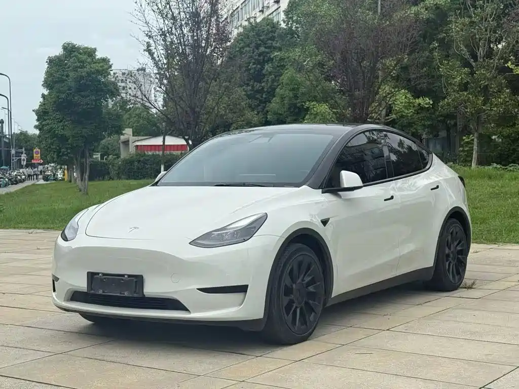 Tesla Model Y — миниатюра 2