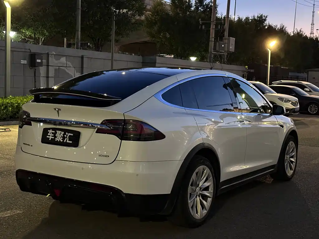 Tesla Model X — миниатюра 27