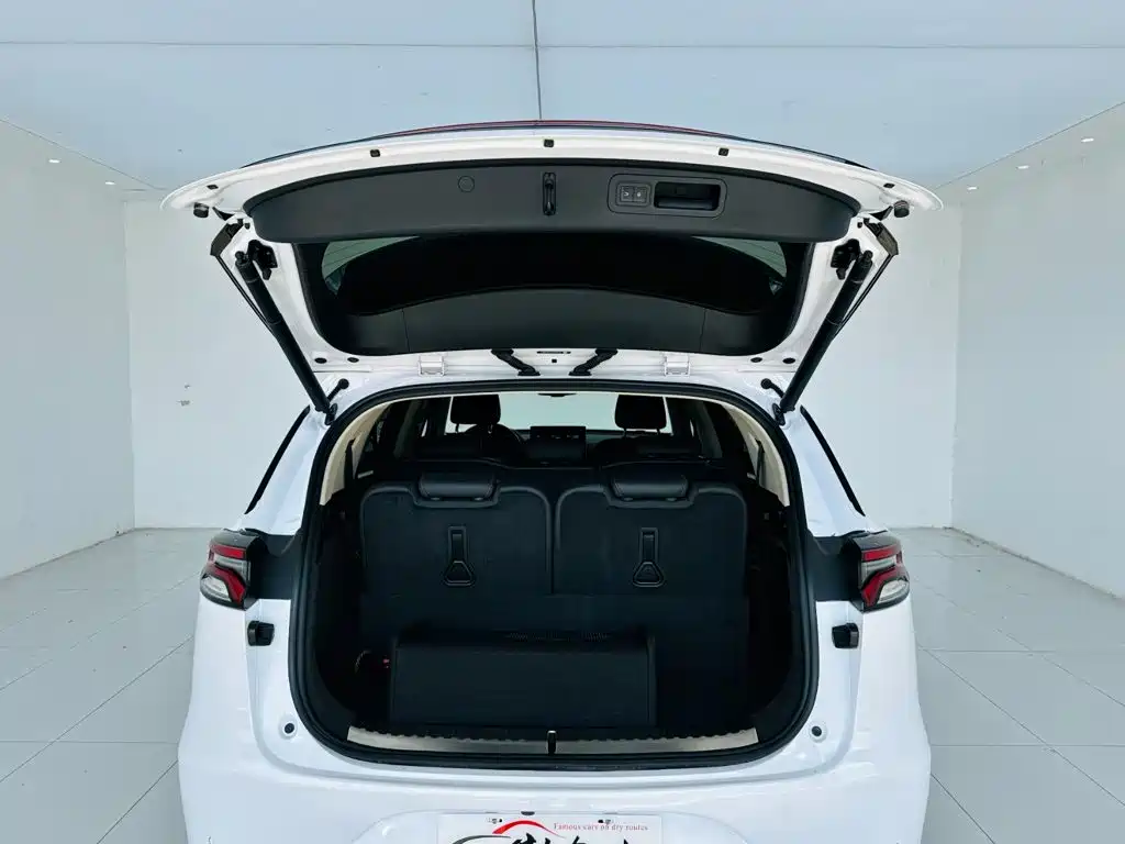 BYD Tang New Energy — миниатюра 25