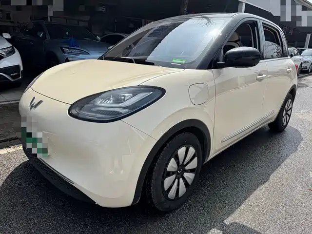 WULING WULING BINGGUO 2025