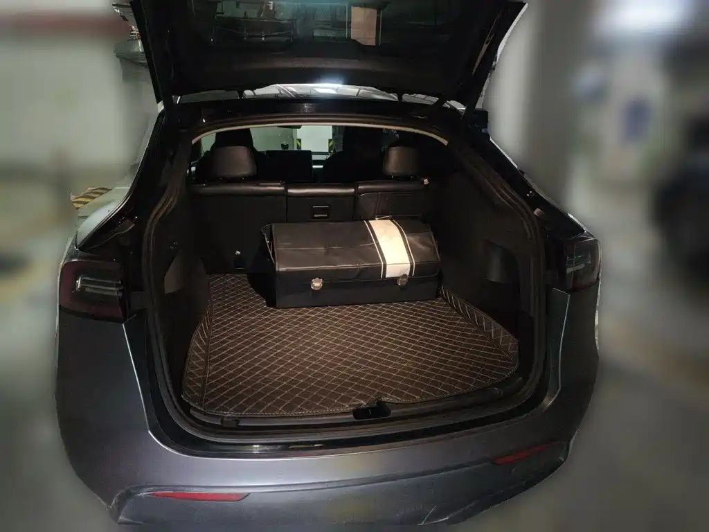 Tesla Model Y — миниатюра 10