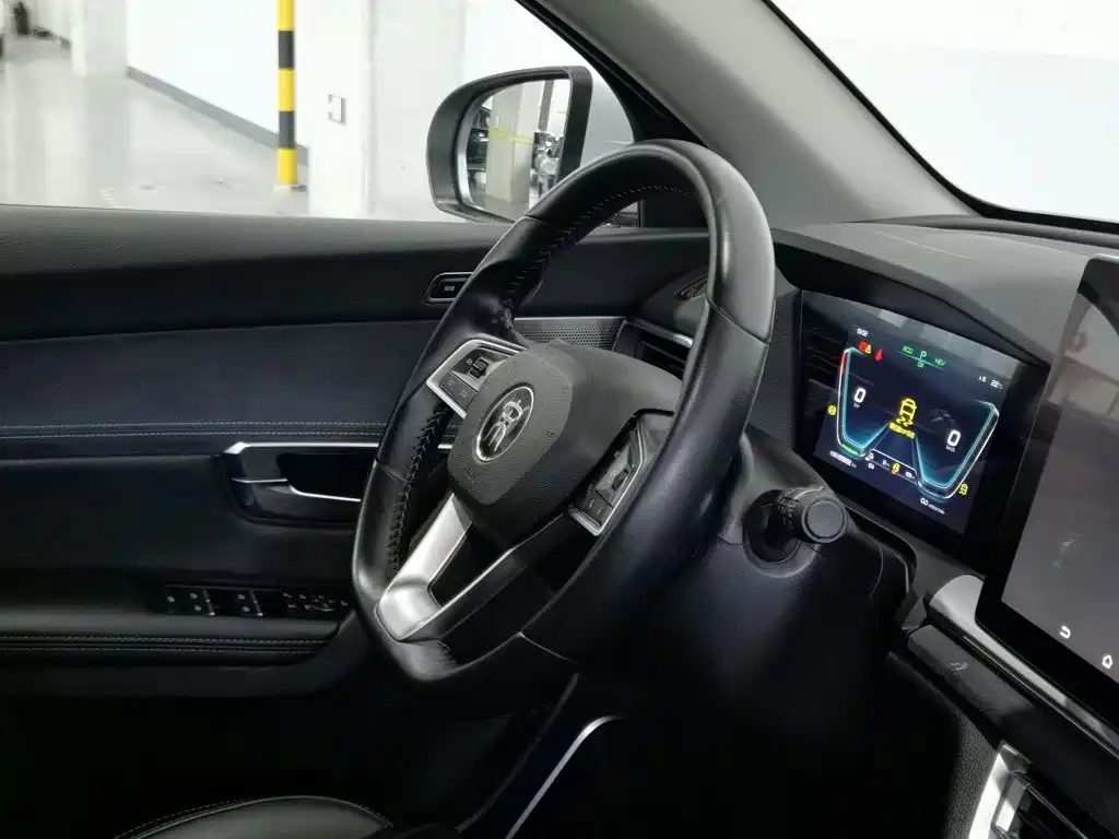 BYD Pro New Energy — миниатюра 22