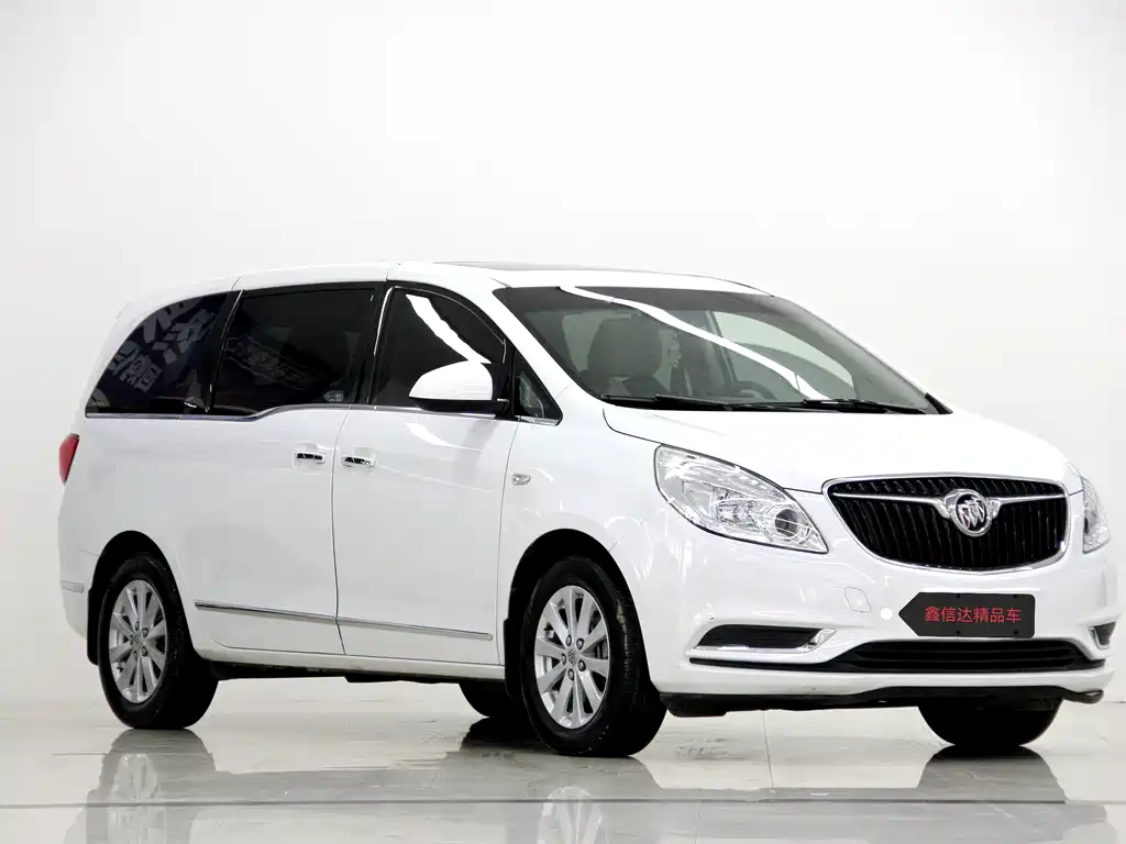 Buick GL8 — миниатюра 3