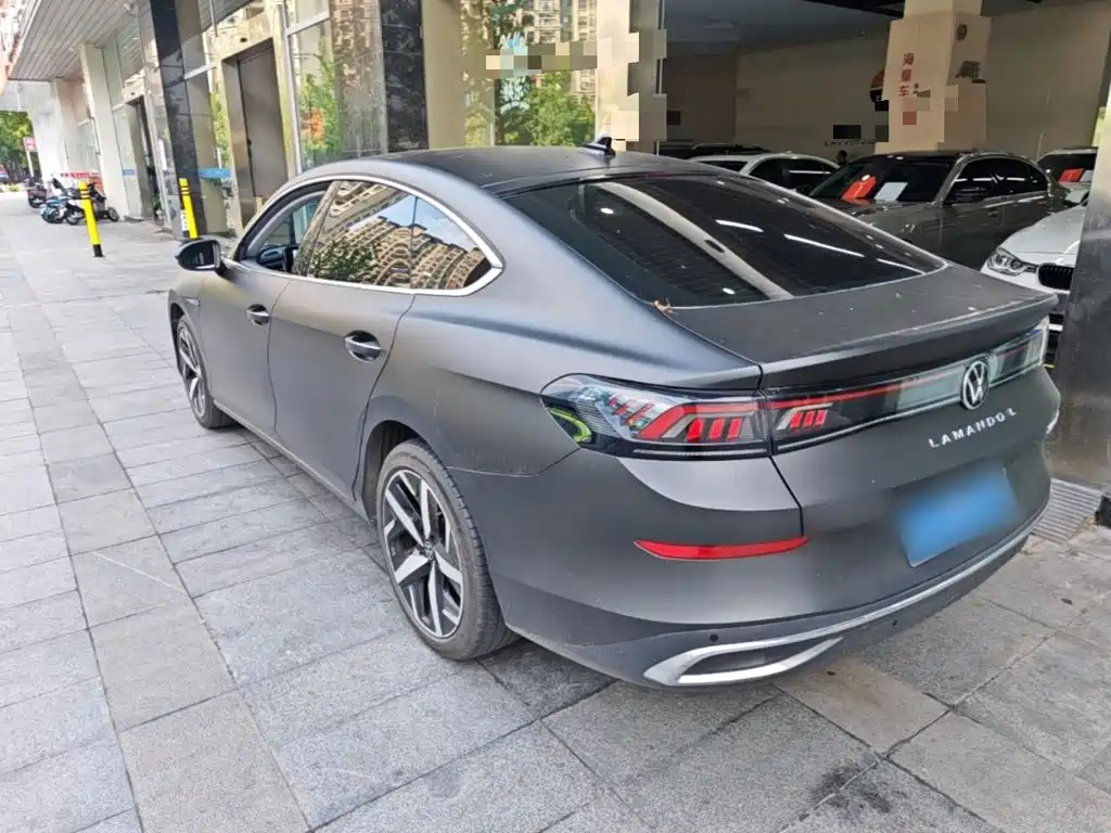 Volkswagen Lamando — миниатюра 5