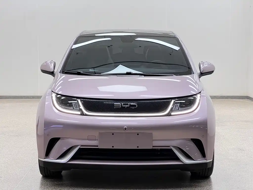 BYD Dolphin — миниатюра 2