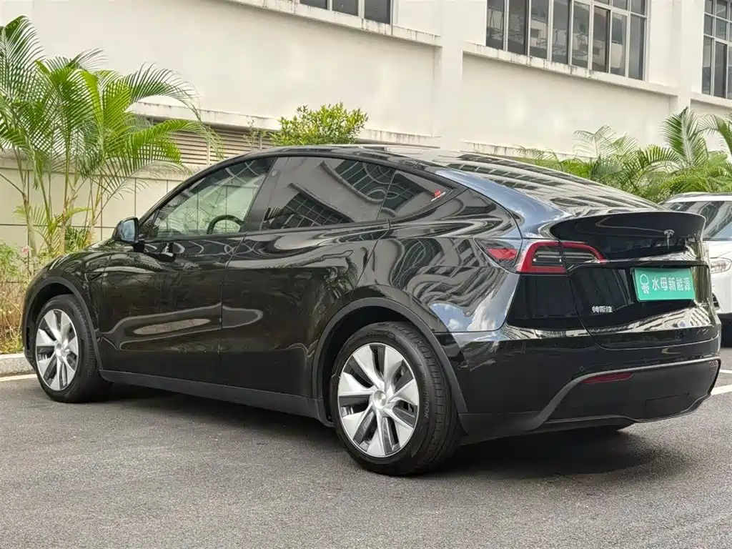 Tesla Model Y — миниатюра 6
