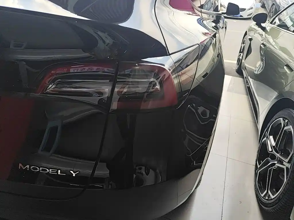 Tesla Model Y — миниатюра 8