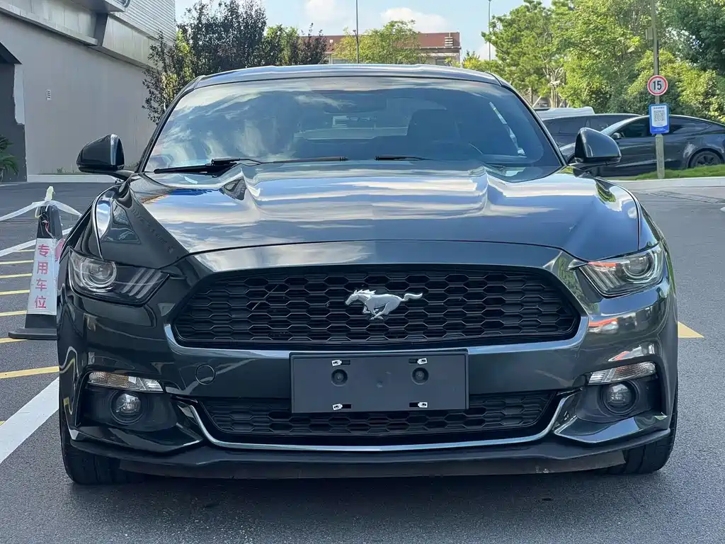 Ford Mustang — миниатюра 2