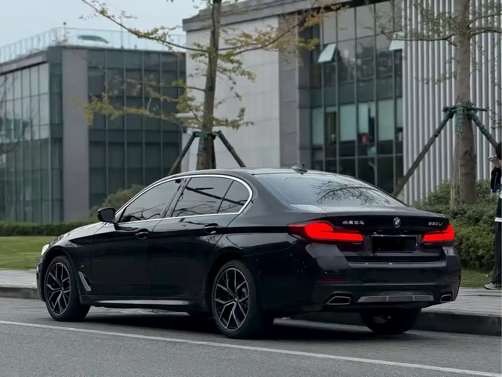 BMW 5 Series — миниатюра 8